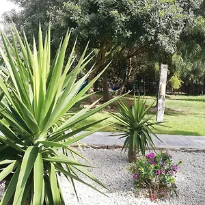Nexo Surf House El Palmar (Andalucia)